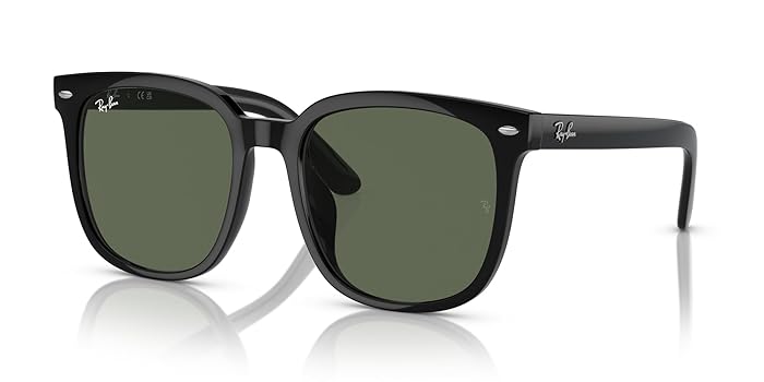 Ray-Ban RB4401D サングラス レイバン公式ストア】 Ray-Ban® RB4401D サングラス | ブラック
